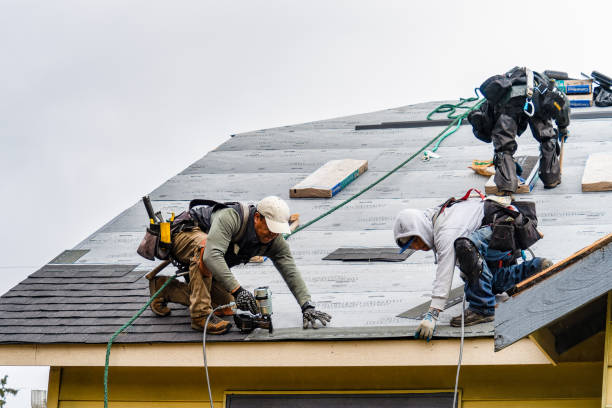 Professional Roofing technician working in Petaluma, CA